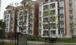 宁波最新楼盘爆料,揭秘最新爆款楼盘盘点